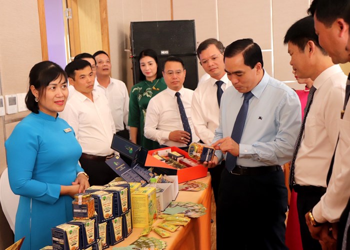Vĩnh Phúc: Phát triển làng nghề truyền thống gắn với du lịch - Anh 1