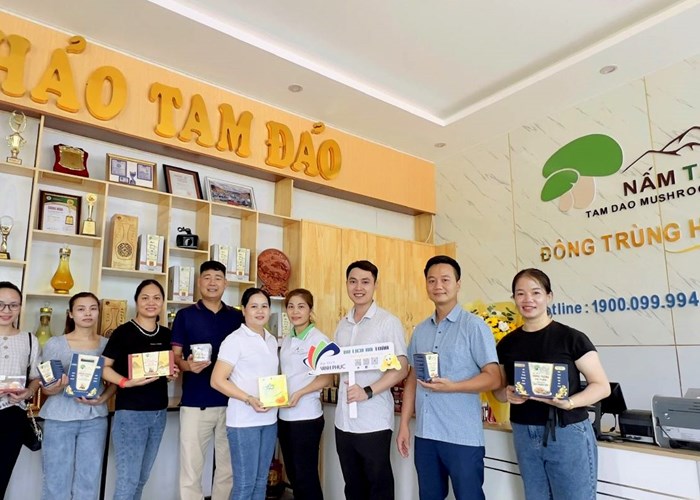 Vĩnh Phúc: Phát triển làng nghề truyền thống gắn với du lịch - Anh 4
