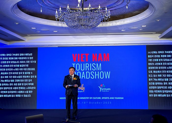 Sắc màu văn hoá Việt Nam tại Hàn Quốc - Anh 1
