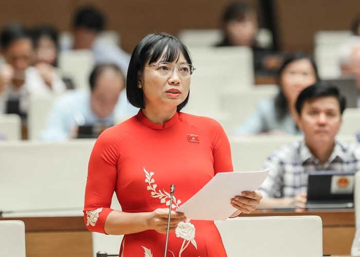 Việc thay đổi tên Luật Căn cước không làm phát sinh chi phí cho người dân - Anh 2
