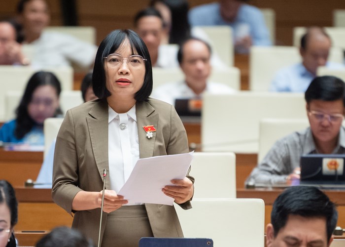 Đại biểu Quốc hội đề nghị cần quan tâm thiết chế văn hóa khi thực hiện các Chương trình mục tiêu quốc gia - Anh 3
