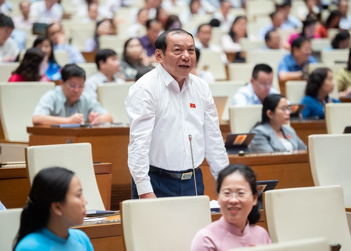 Đại biểu Quốc hội chia sẻ với ngành Văn hoá về chấn hưng văn hóa và đạo đức dân tộc - Anh 3