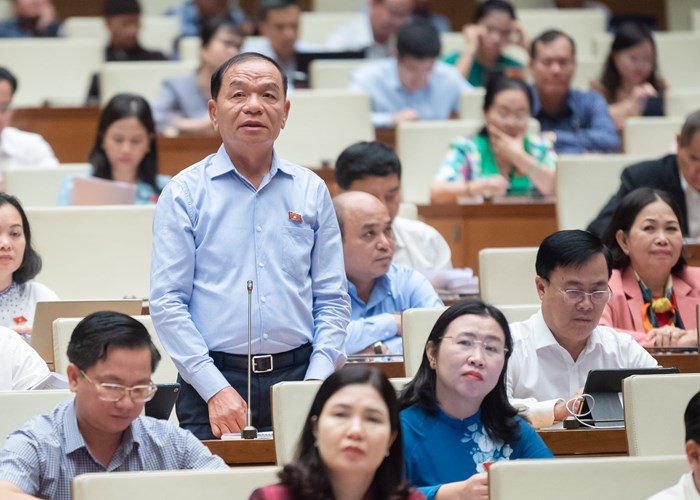 Đại biểu Quốc hội chia sẻ với ngành Văn hoá về chấn hưng văn hóa và đạo đức dân tộc - Anh 2