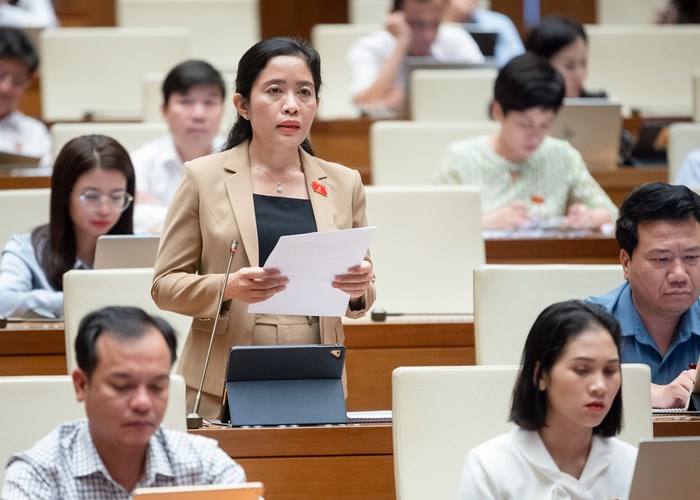 Đại biểu Quốc hội kỳ vọng chính sách đất đai cho bảo tồn văn hóa - Anh 2