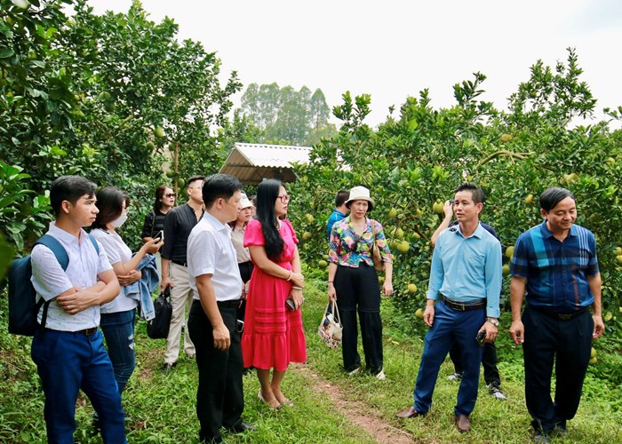 Bắc Giang: Khởi nghiệp đổi mới sáng tạo, phát triển du lịch bền vững - Anh 4