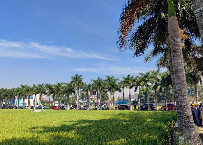 Hơn 85 doanh nghiệp lữ hành khảo sát sản phẩm du lịch Long An - Anh 7