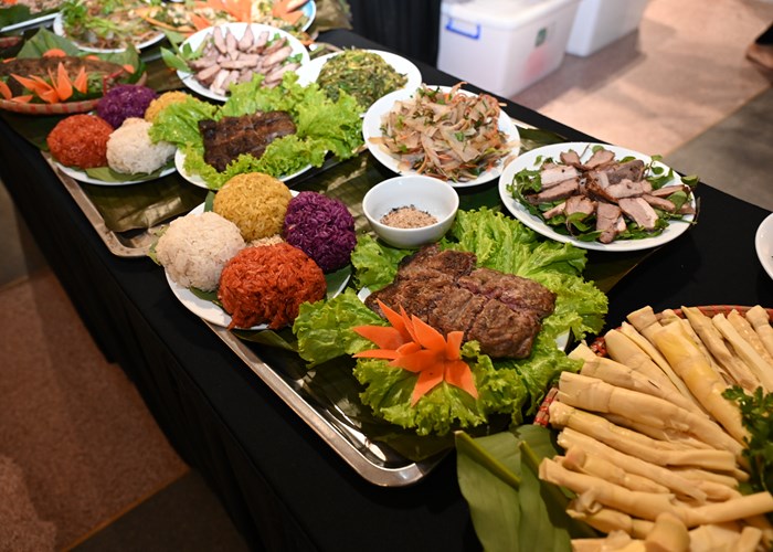 Giới thiệu di sản xòe Thái và cồng chiêng Tây Nguyên tại Hà Nội - Anh 9