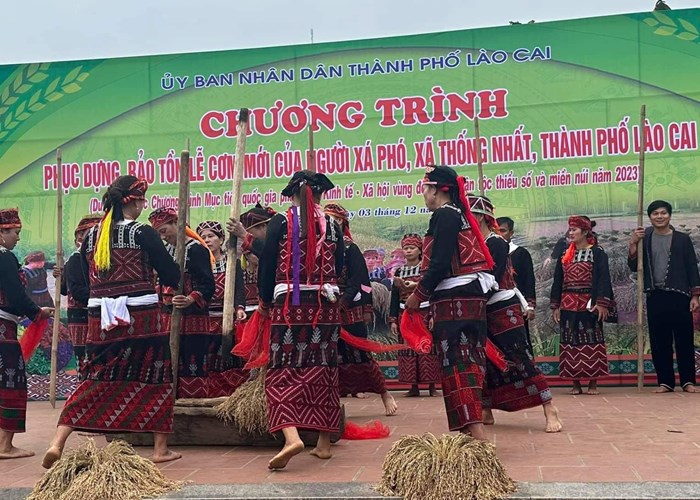 Độc đáo Tết mừng cơm mới của người Xá Phó - Anh 2