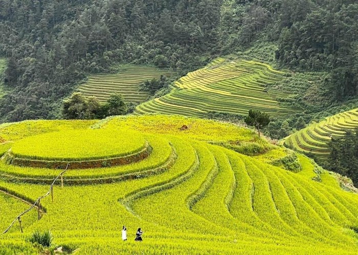 Tăng cường liên kết du lịch giữa TP.HCM và Tây Bắc - Anh 4