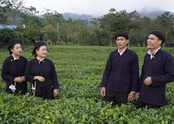 Ve Dong Hy nghe cau hat Sli dam tham cua nguoi Nung - Anh 2