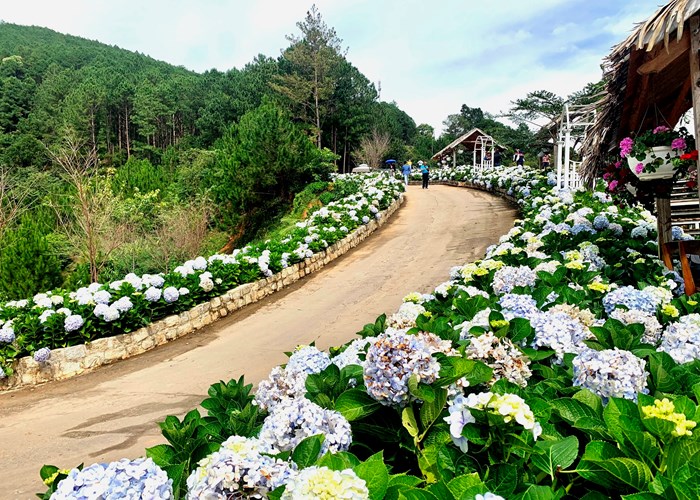 “Hội ngộ ngàn hoa – Bản tình ca đại ngàn” - Anh 2