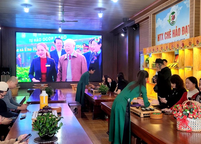 Đánh thức tiềm năng du lịch vùng “Đệ nhất danh trà” - Anh 2