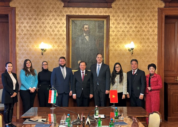 Việt Nam - Hungary tăng cường hợp tác văn hóa, nghệ thuật - Anh 3