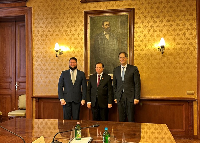 Việt Nam - Hungary tăng cường hợp tác văn hóa, nghệ thuật - Anh 2
