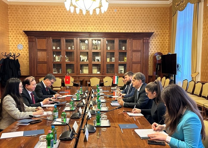 Việt Nam - Hungary tăng cường hợp tác văn hóa, nghệ thuật - Anh 1