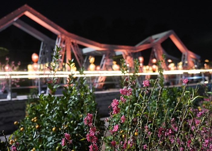 Lan tỏa truyền thống Tết Việt - Anh 3