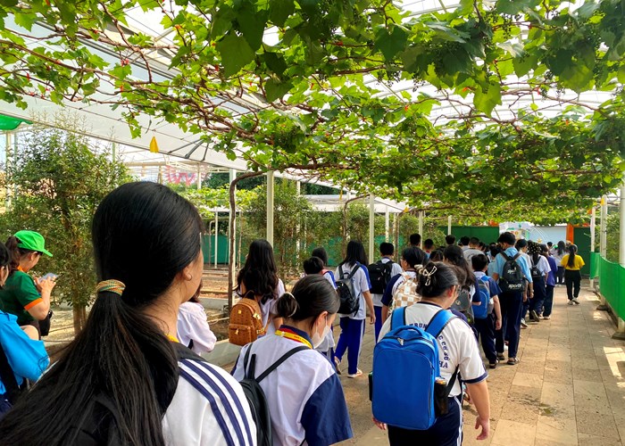“Trao xuân yêu thương” cho 3.000 trẻ em ở TP.HCM - Anh 5