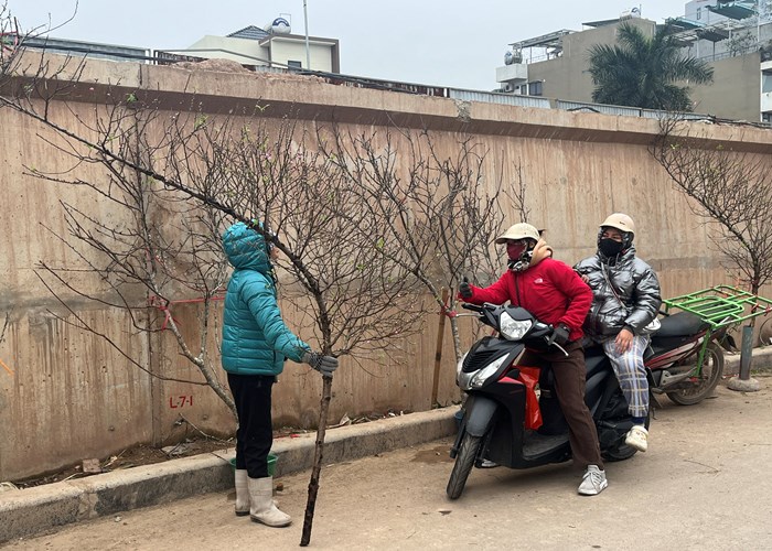 Mong chờ một vụ mùa bội thu - Anh 10