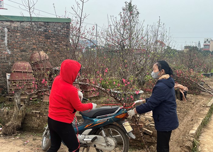 Mong chờ một vụ mùa bội thu - Anh 9