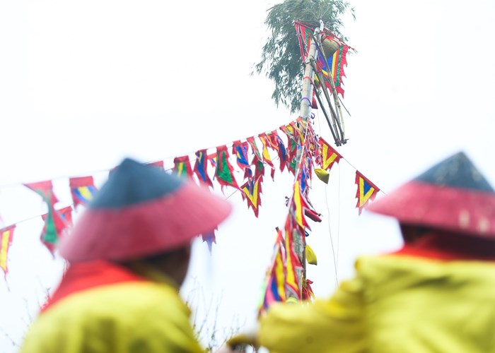 Thả cá chép, dựng cây nêu đón Tết tại Hoàng thành Thăng Long - Anh 7