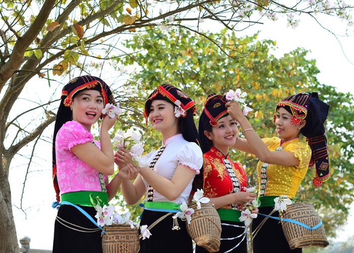 Lễ hội Hoa Ban năm 2024 sẽ diễn ra vào trung tuần tháng 3 - Anh 3
