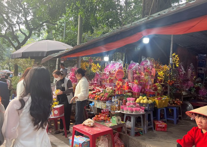 Tấp nập du khách đi lễ đền Và đầu Xuân Giáp Thìn - Anh 3