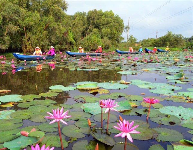 Tết Giáp Thìn 2024, lượng du khách đến Long An tăng 50% - Anh 2