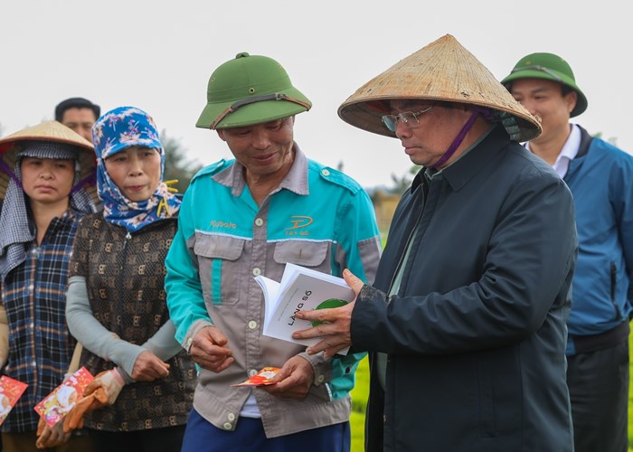 Thủ tướng xuống đồng cấy lúa cùng nông dân Hải Dương - Anh 2