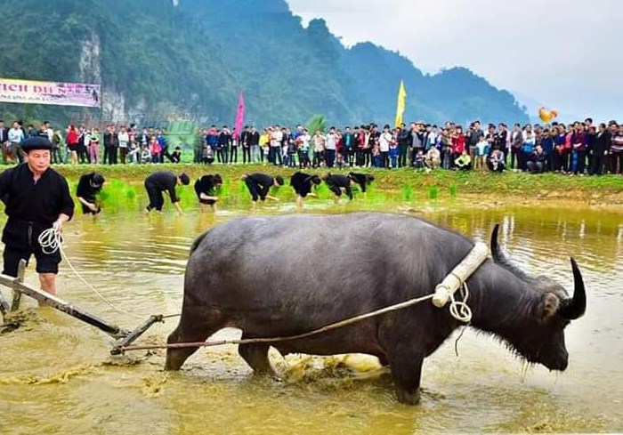 Về xứ Tuyên vui hội Lồng tông với đồng bào dân tộc Tày - Anh 2