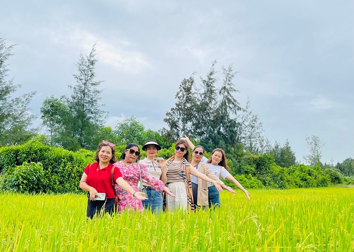 Quảng Ngãi: Tìm cách khai thác “mỏ vàng” phát triển du lịch nông thôn theo hướng bền vững - Anh 1