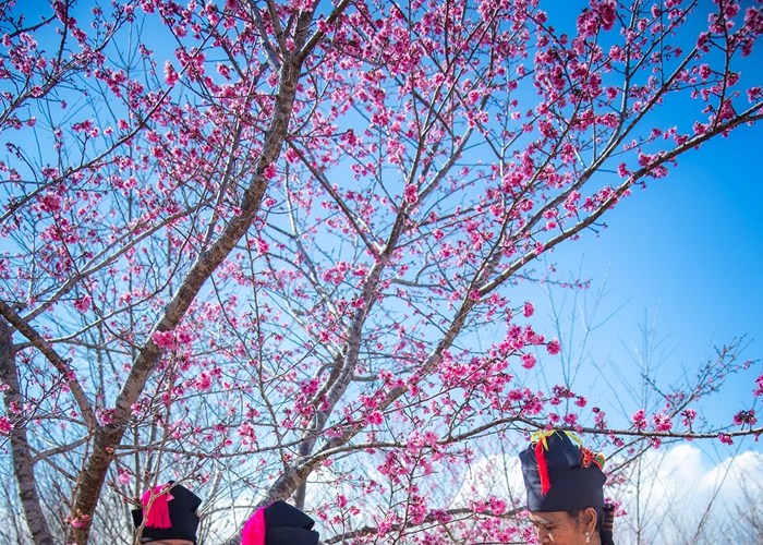 Điện Biên phát huy tiềm năng, lợi thế phát triển du lịch bền vững - Anh 2