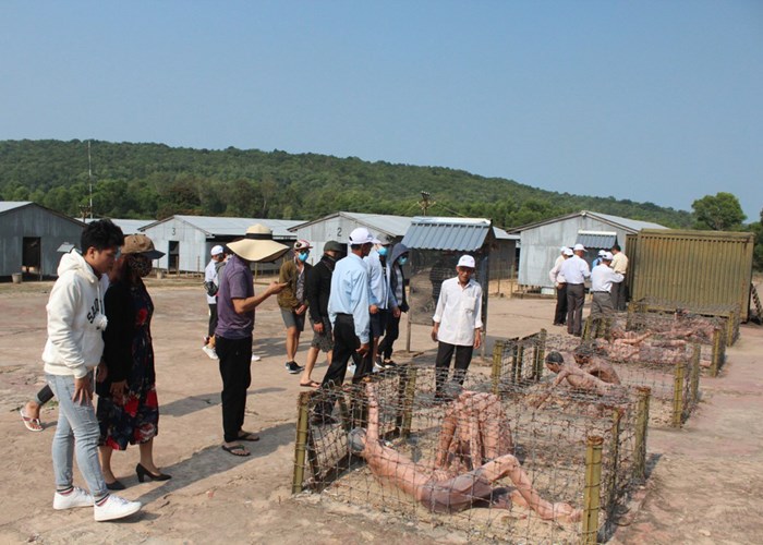 Sưu tầm và triển lãm ảnh nghệ thuật “Phú Quốc xưa và nay” - Anh 1