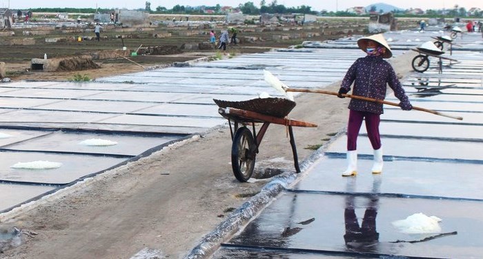 Diêm dân phấn khởi sẵn sàng vào vụ sản xuất mới - Anh 4
