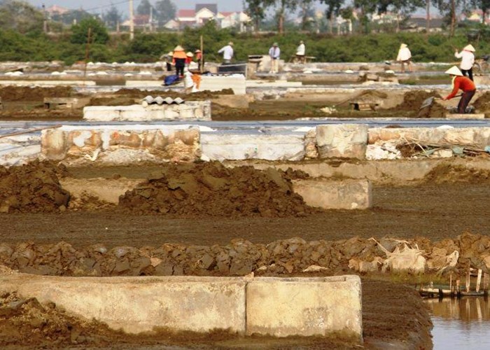 Diêm dân phấn khởi sẵn sàng vào vụ sản xuất mới - Anh 3