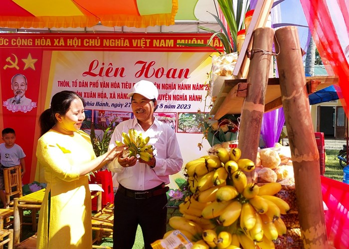 Quảng Ngãi: Sắp diễn ra liên hoan sản phẩm, ẩm thực OCOP và không gian du lịch nông thôn, du lịch cộng đồng - Anh 1