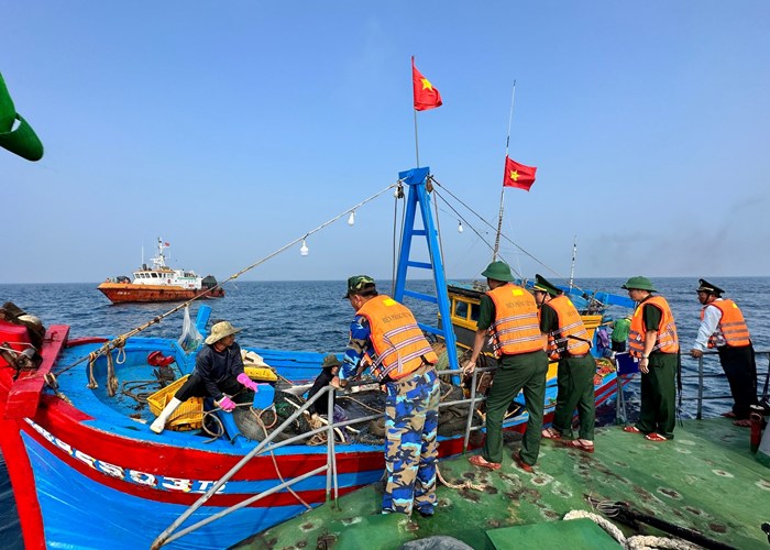 Quảng Ngãi: Thực hiện đồng bộ các giải pháp chống khai thác IUU - Anh 4