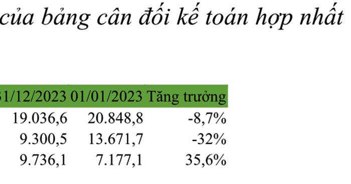 BCG Energy tăng trưởng doanh thu, một số nhà máy điện mặt trời vượt 100% công suất dự phóng - Anh 4