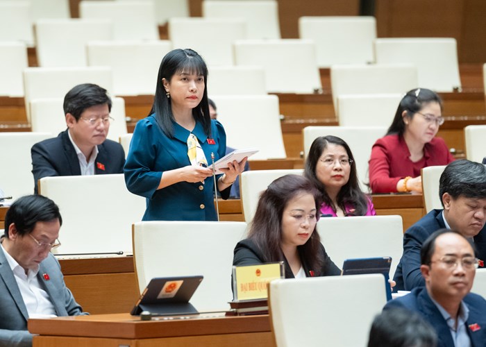 Bộ trưởng Bộ Ngoại giao trả lời các vấn đề về miễn thị thực, ngoại giao văn hóa - Anh 3