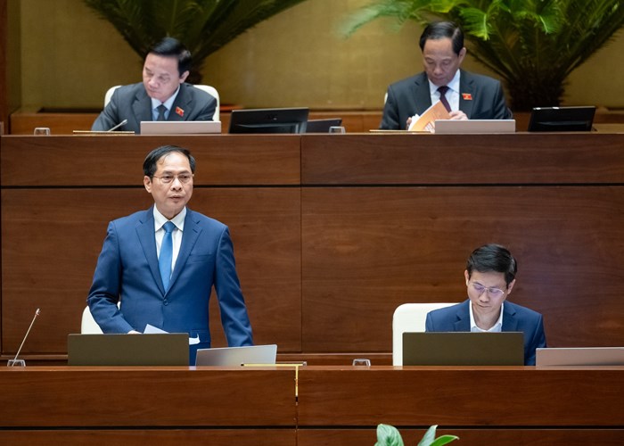 Bộ trưởng Bộ Ngoại giao trả lời các vấn đề về miễn thị thực, ngoại giao văn hóa - Anh 2