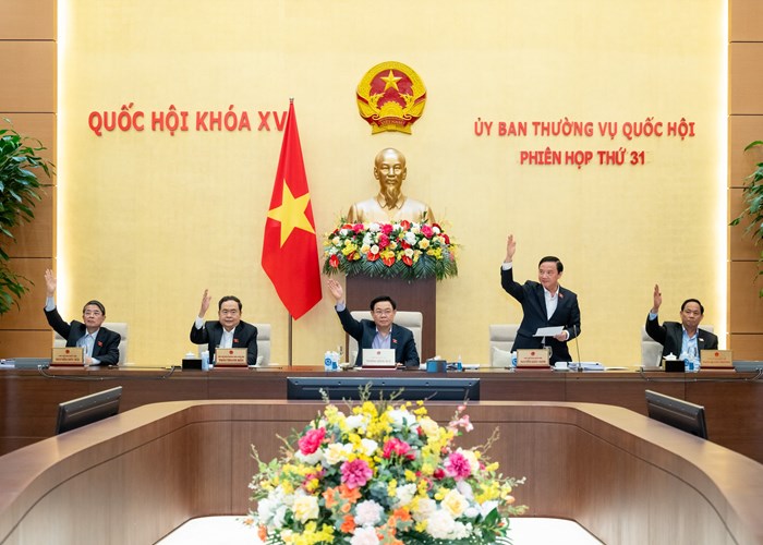 Thành lập thành phố Bến Cát (Bình Dương) và thành phố Gò Công (Tiền Giang) - Anh 3