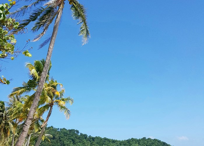 Phú Quốc là 1 trong 10 hòn đảo hàng đầu châu Á - Thái Bình Dương năm 2024 - Anh 1