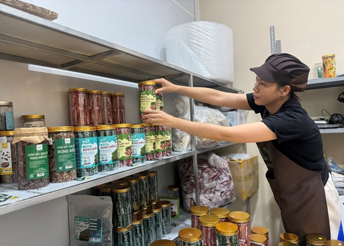 Quảng Ngãi: Tuổi trẻ khởi nghiệp từ nông nghiệp sạch gắn với dịch vụ du lịch - Anh 6