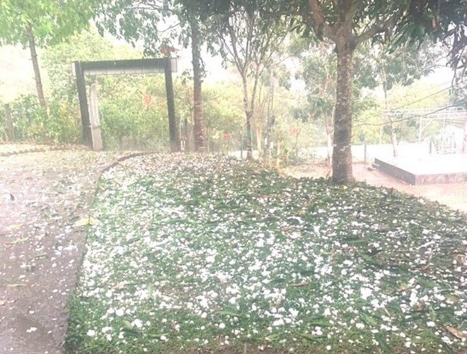 Mưa đá kèm giông lốc ở nhiều huyện miền núi Nghệ An - Anh 1