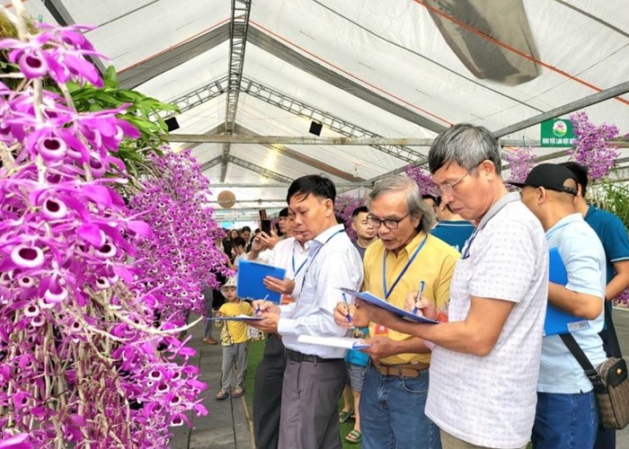 'Hương sắc Lai Châu' hấp dẫn người chơi lan và du khách - Anh 2