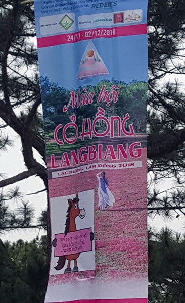 Ban tổ chức “Mùa hội cỏ hồng Langbiang 2018” bị 
