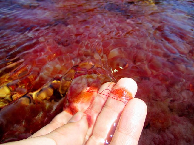 Khó tin nhưng có thật: Con sông có 5 màu sắc biến đổi theo mùa - Anh 3