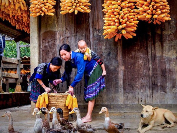 Cười ra nước mắt với BGK cuộc thi ảnh - Anh 1