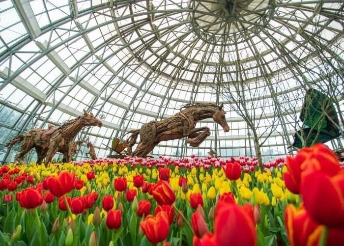 360 kiểu sống ảo để đời tại “Hà Lan phiên bản Việt” ở Nha Trang - Anh 2