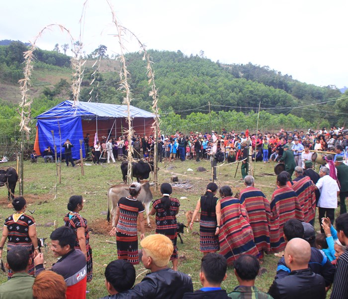 Lễ hội Ariêu ping của dân tộc Pa Kôh - Anh 1