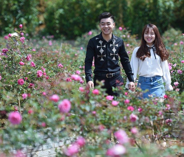 Kể chuyện người trồng hoa ở các khu du lịch - Anh 2